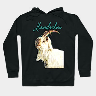 LLANDUDNO TURQUOISE Hoodie